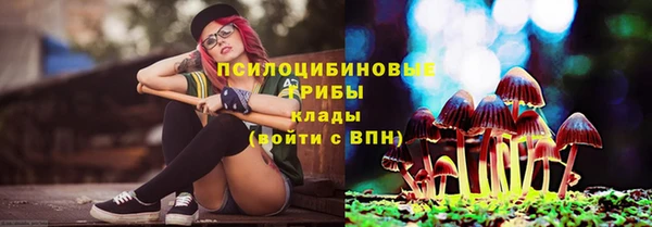 гидропоника Абаза