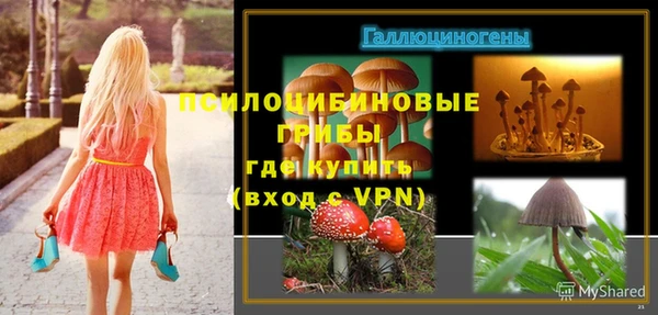 дмт Абинск