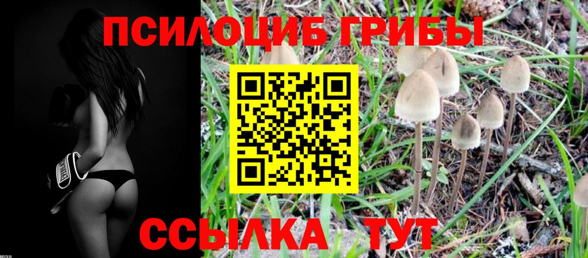 Псилоцибиновые грибы Magic Shrooms  как найти наркотики  Александров  Вход с VPN 